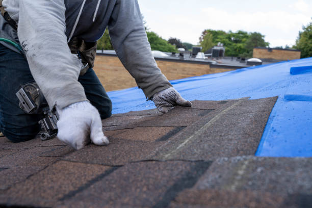 Quick and Trustworthy Emergency Roof Repair Services in Irvington, KY